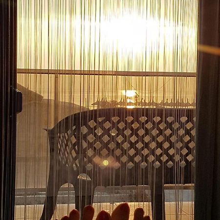 Apartament Andy Mamaia Nord 30 M De Plaja นาโวดาริ ภายนอก รูปภาพ