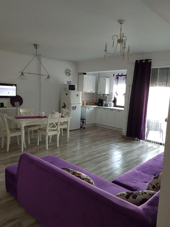 Apartament Andy Mamaia Nord 30 M De Plaja นาโวดาริ ภายนอก รูปภาพ